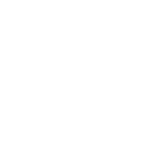 Local SEO 1
